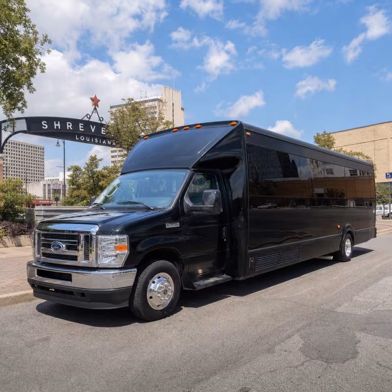 15 Passenger Party Bus