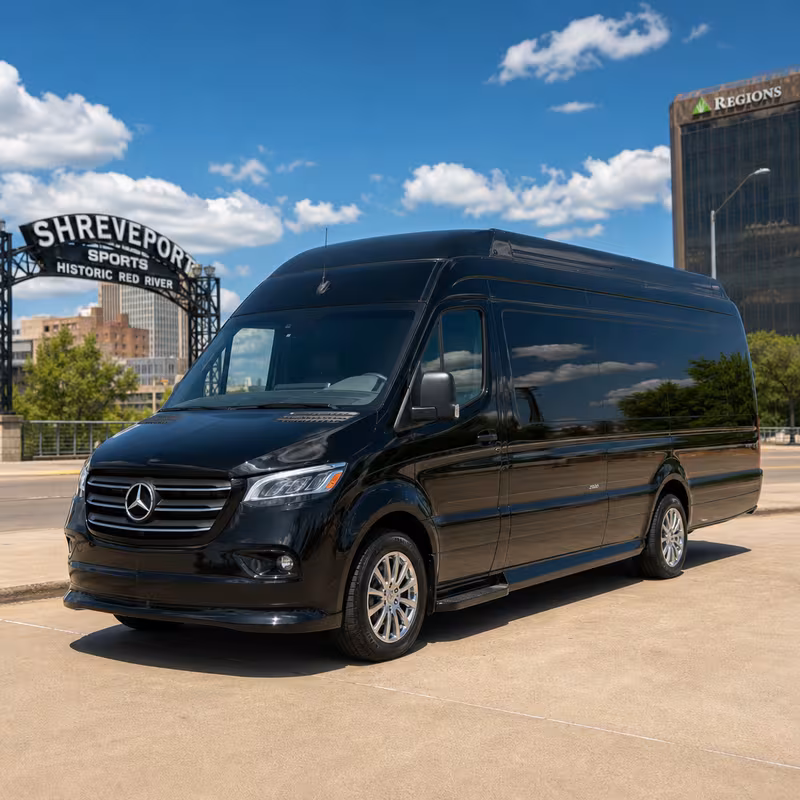 14 Passenger Sprinter Limo